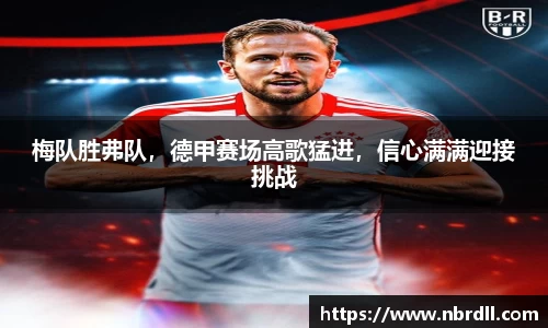 金沙娱场城官方app